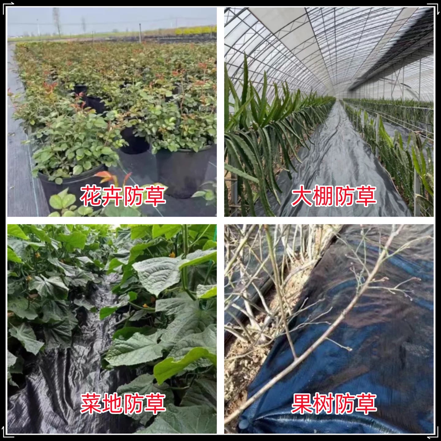 辽阳市工程膜防草布 - 推荐