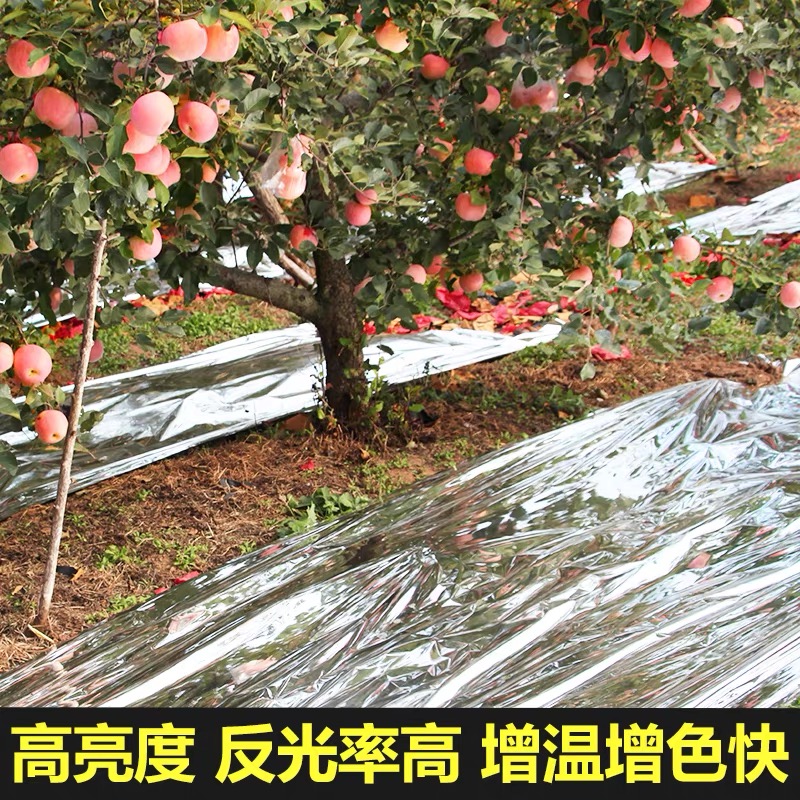 辽阳市黑白养殖膜果树反光膜 - 一站式服务